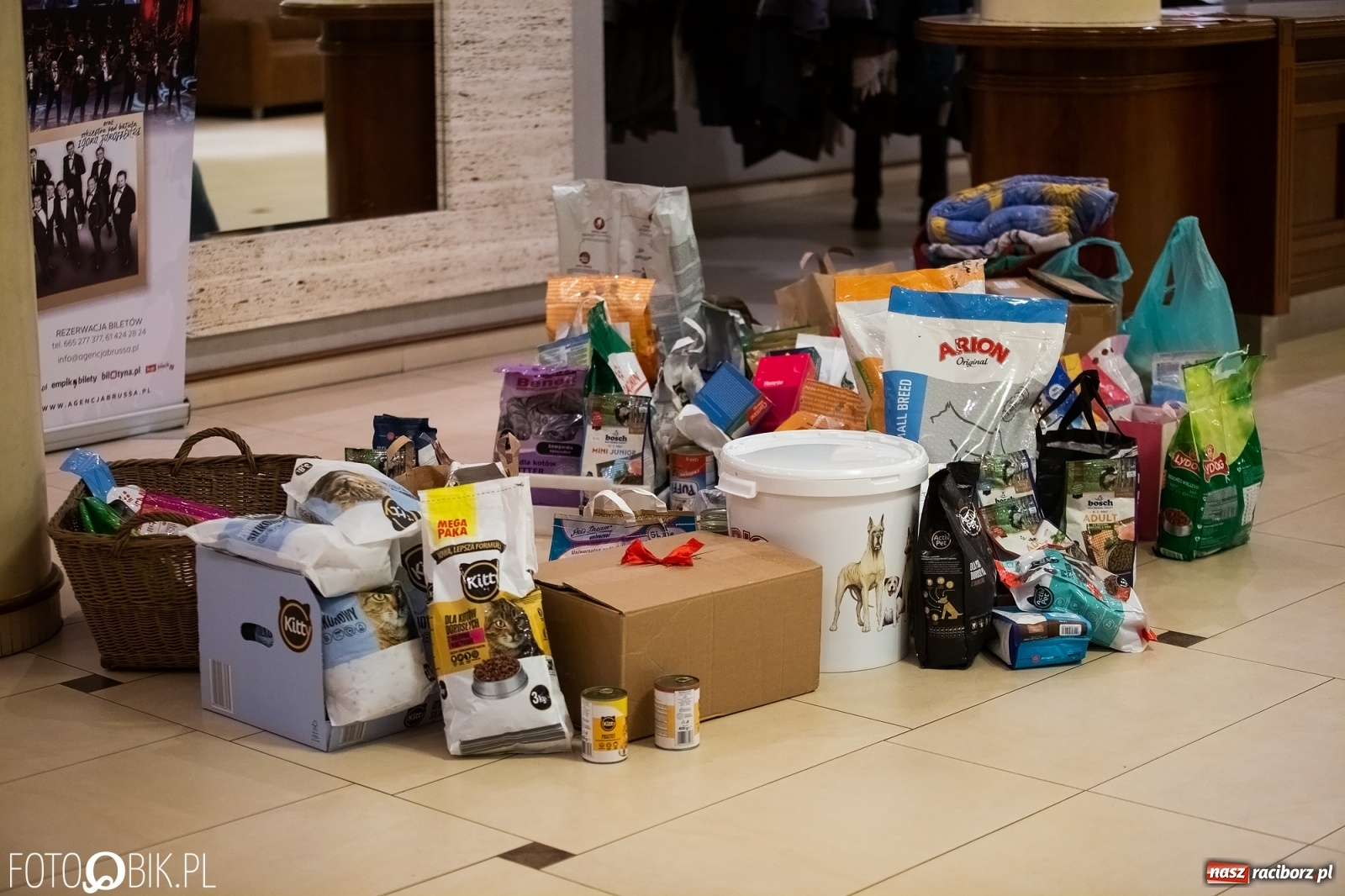 Zdjęcie w galerii na portalu naszraciborz.pl: Raciborscy artyści dla schroniska w RCK wiadomości z regionu