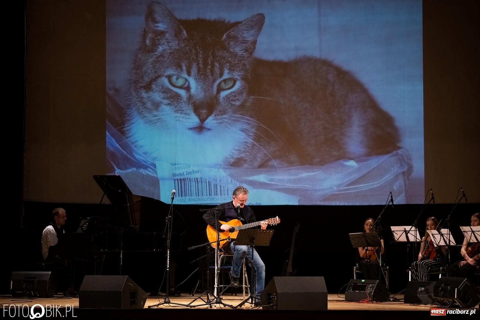 Zdjęcie w galerii na portalu naszraciborz.pl: Raciborscy artyści dla schroniska w RCK wiadomości z regionu
