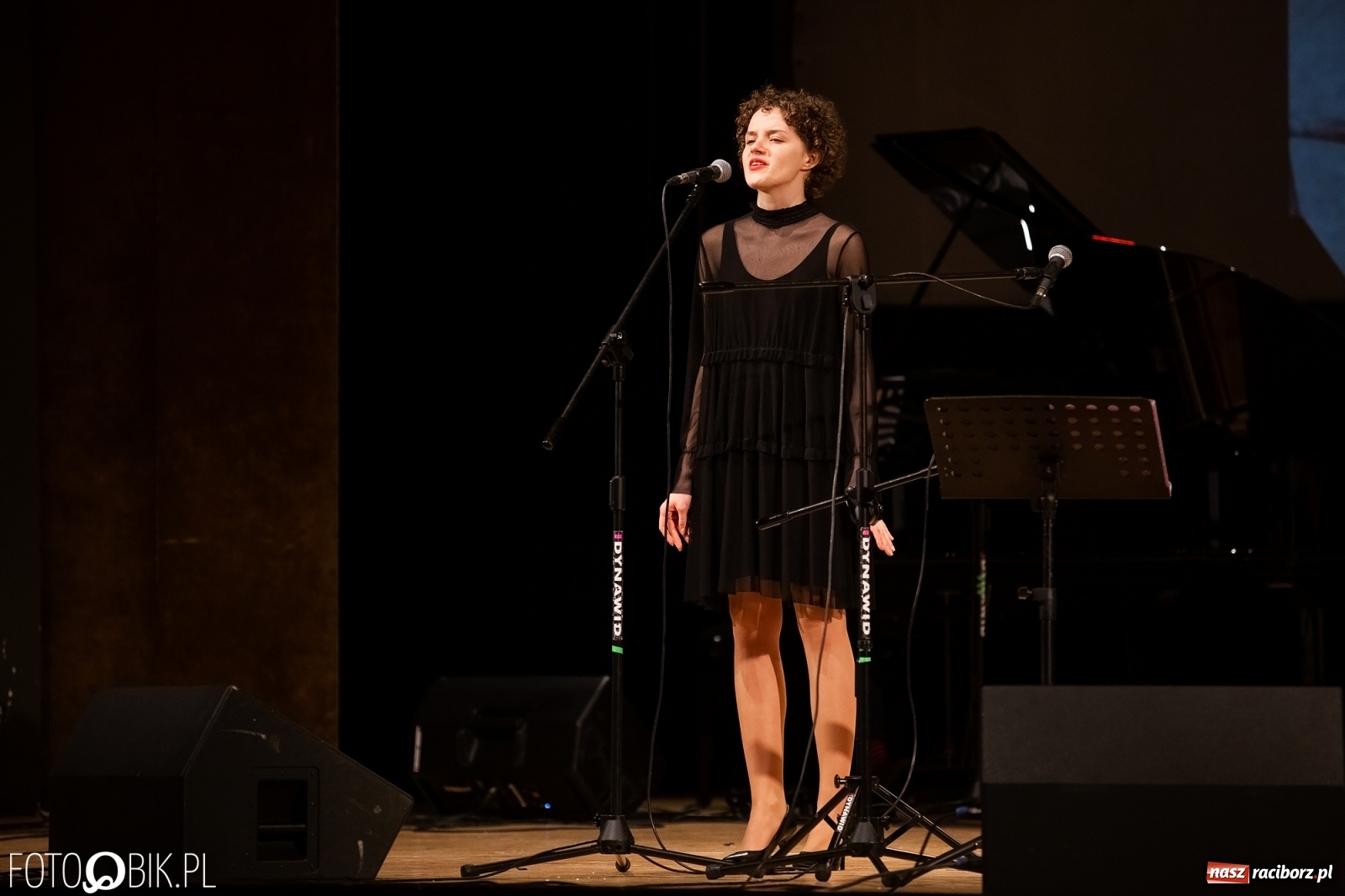 Zdjęcie w galerii na portalu naszraciborz.pl: Raciborscy artyści dla schroniska w RCK wiadomości z regionu