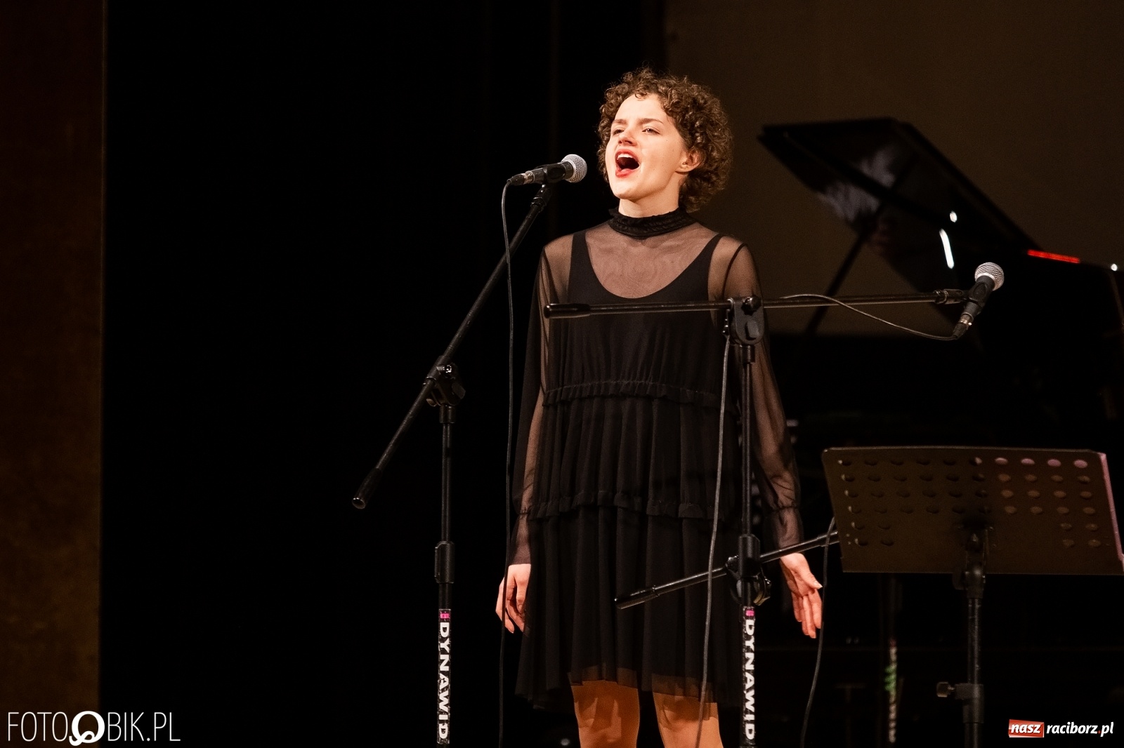 Zdjęcie w galerii na portalu naszraciborz.pl: Raciborscy artyści dla schroniska w RCK wiadomości z regionu