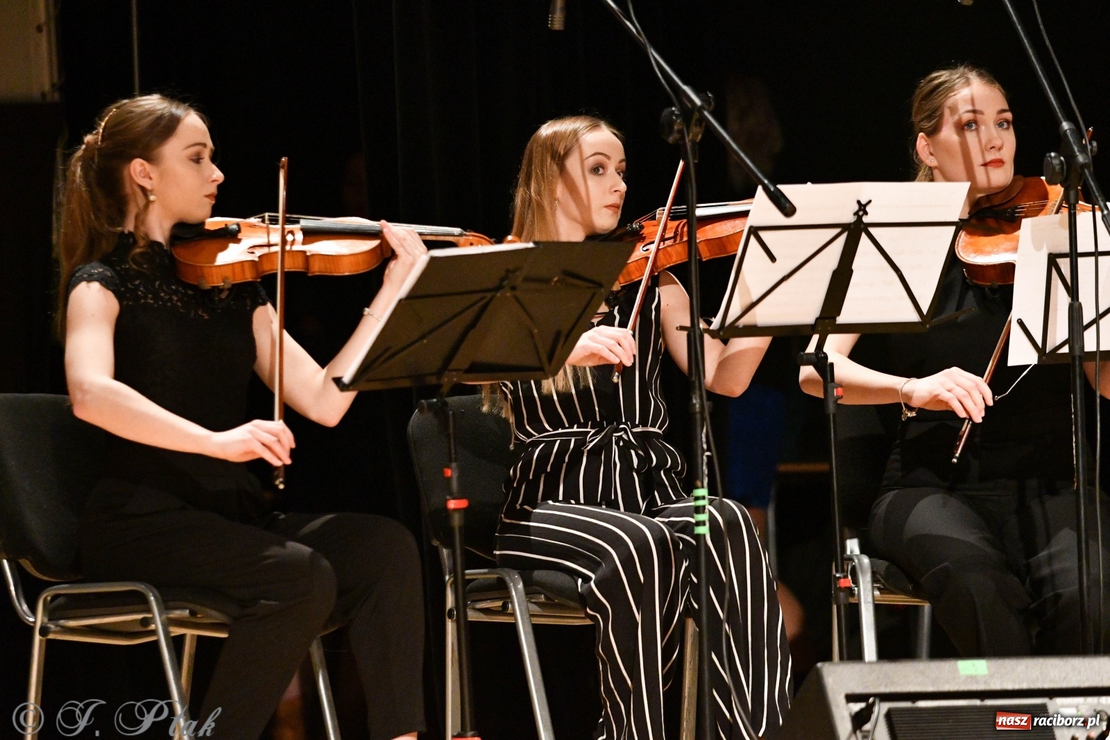 Zdjęcie w galerii na portalu naszraciborz.pl: Raciborscy artyści dla schroniska w RCK wiadomości z regionu