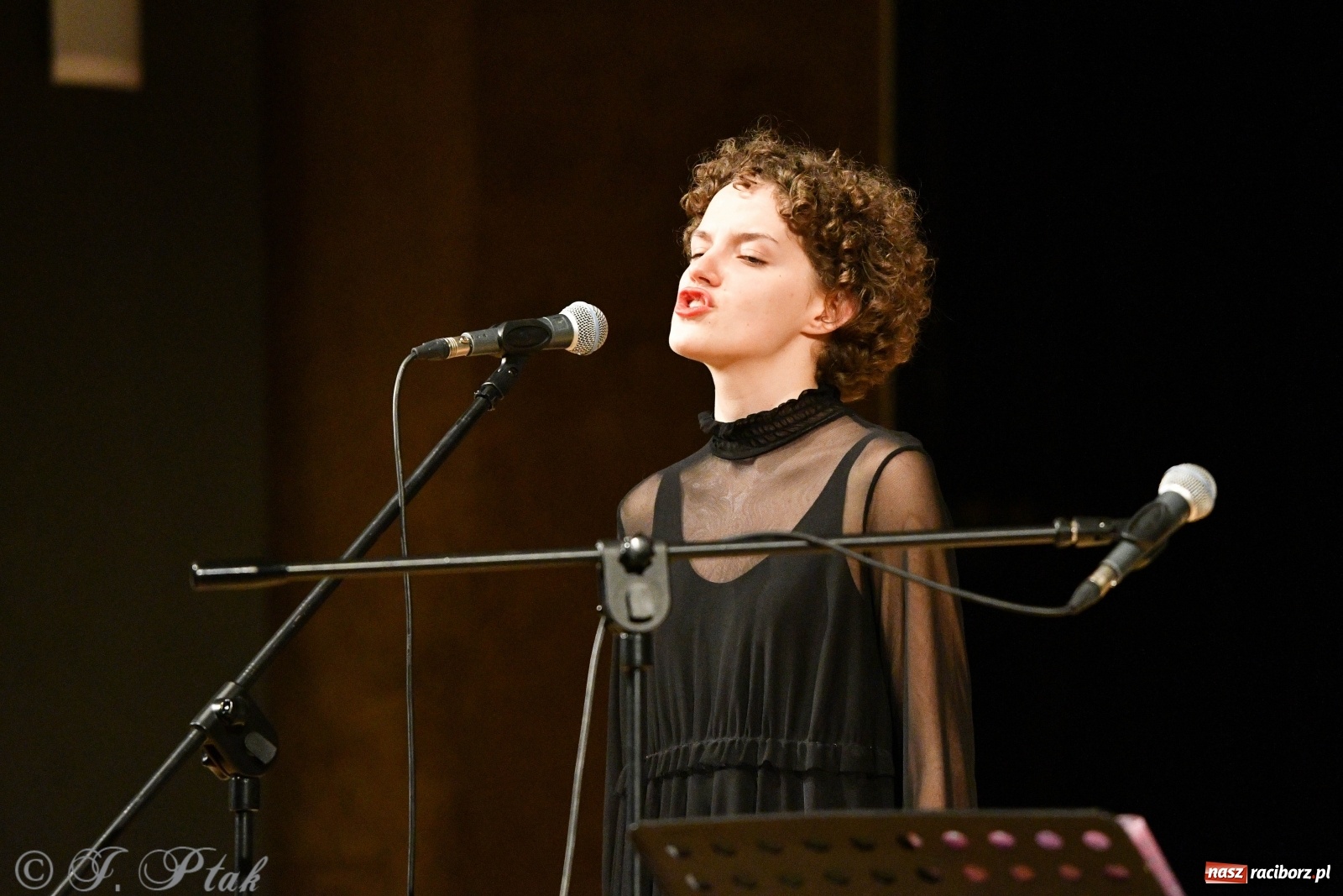 Zdjęcie w galerii na portalu naszraciborz.pl: Raciborscy artyści dla schroniska w RCK wiadomości z regionu