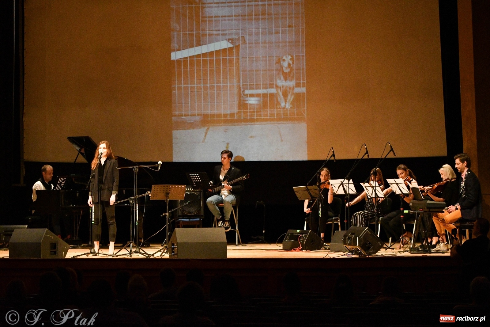 Zdjęcie w galerii na portalu naszraciborz.pl: Raciborscy artyści dla schroniska w RCK wiadomości z regionu