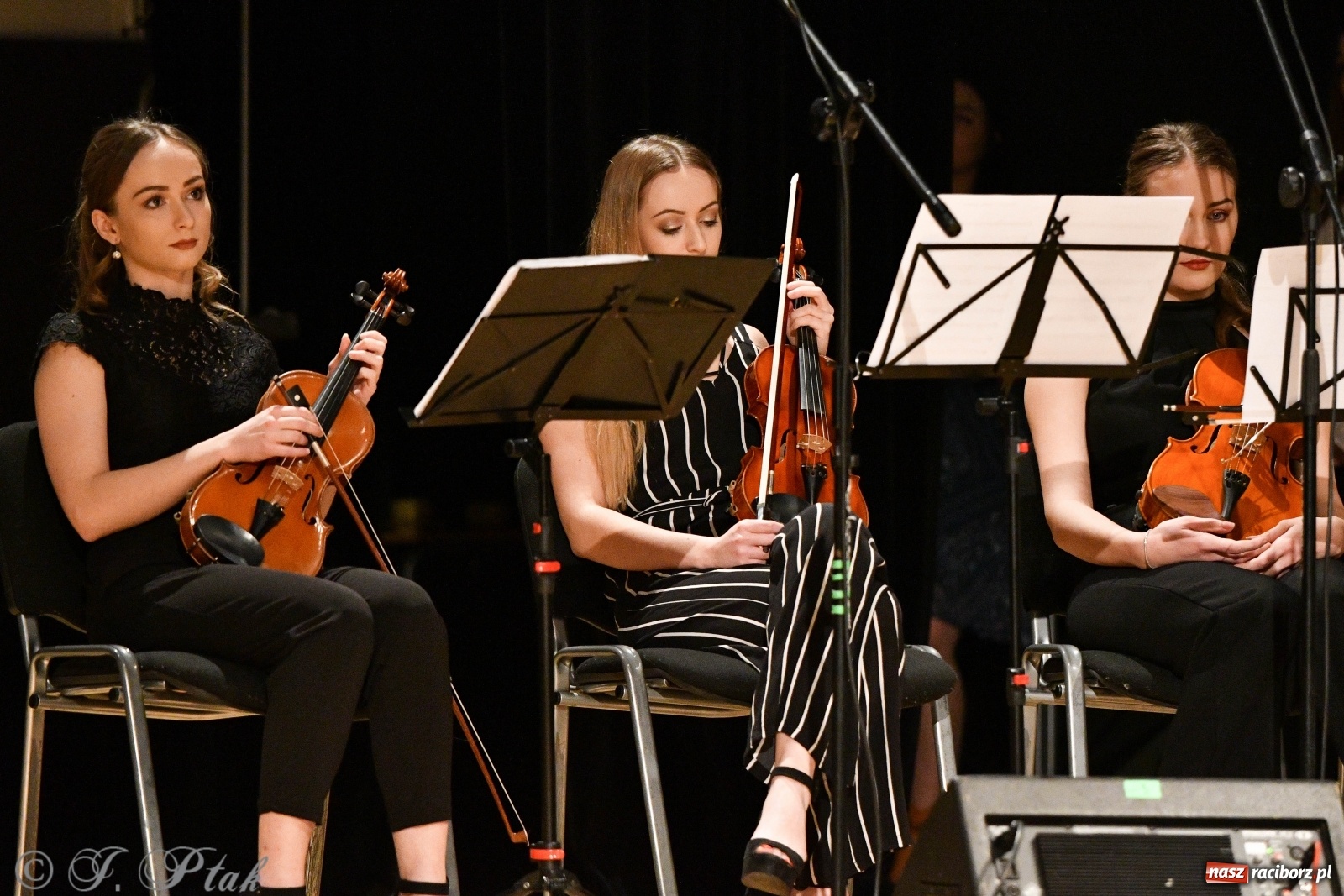Zdjęcie w galerii na portalu naszraciborz.pl: Raciborscy artyści dla schroniska w RCK wiadomości z regionu