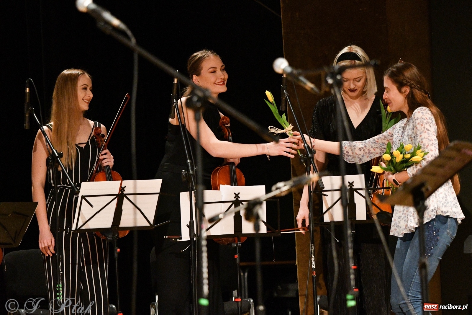 Zdjęcie w galerii na portalu naszraciborz.pl: Raciborscy artyści dla schroniska w RCK wiadomości z regionu