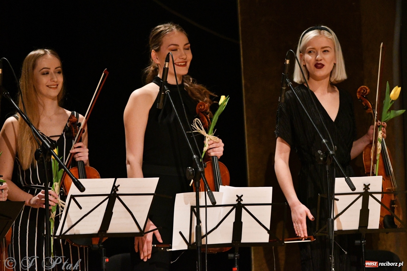 Zdjęcie w galerii na portalu naszraciborz.pl: Raciborscy artyści dla schroniska w RCK wiadomości z regionu