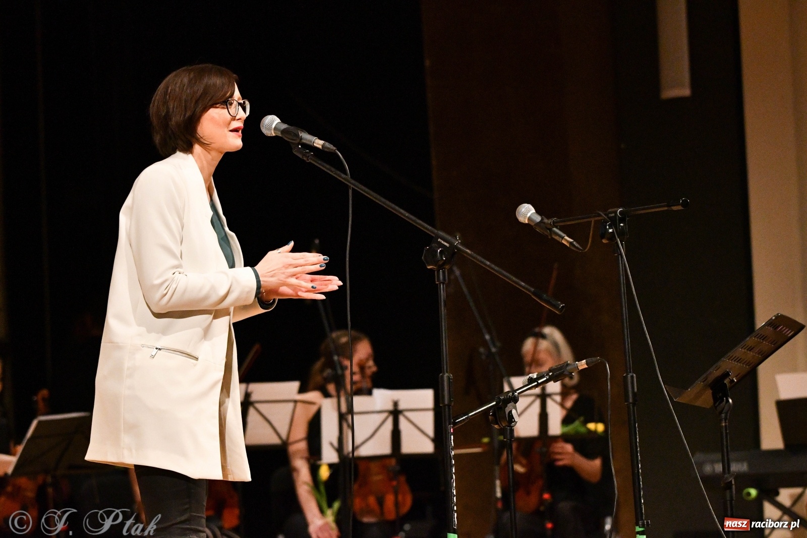 Zdjęcie w galerii na portalu naszraciborz.pl: Raciborscy artyści dla schroniska w RCK wiadomości z regionu