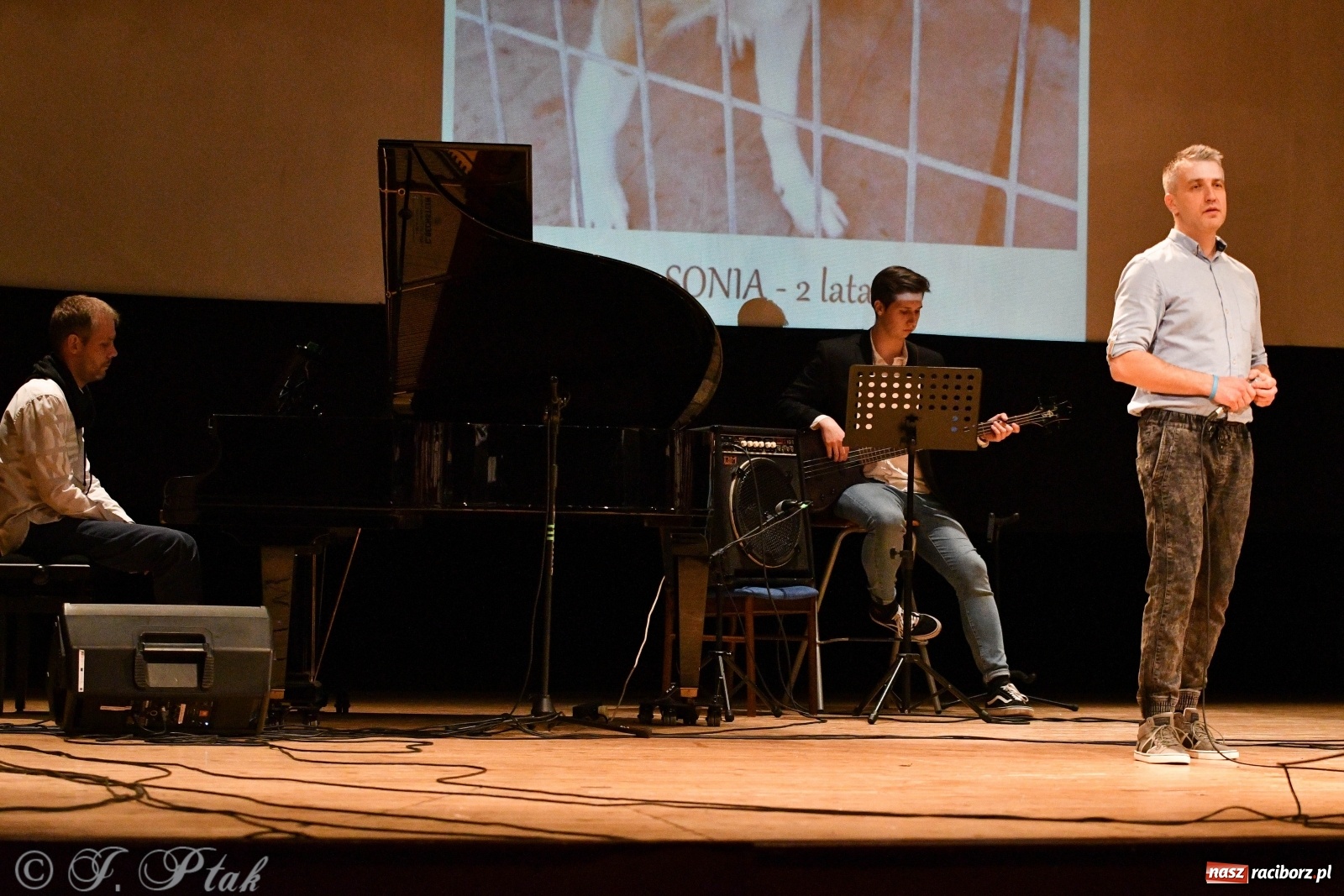 Zdjęcie w galerii na portalu naszraciborz.pl: Raciborscy artyści dla schroniska w RCK wiadomości z regionu