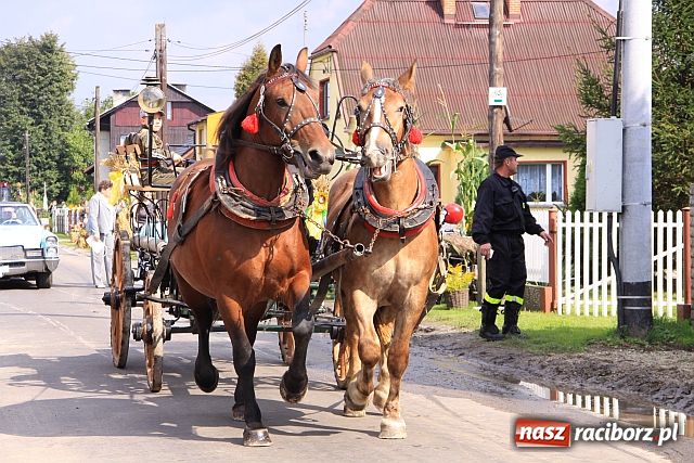 Zdjęcie w galerii na portalu naszraciborz.pl: Starostowie w dożynkowym cadillacu wiadomości z regionu