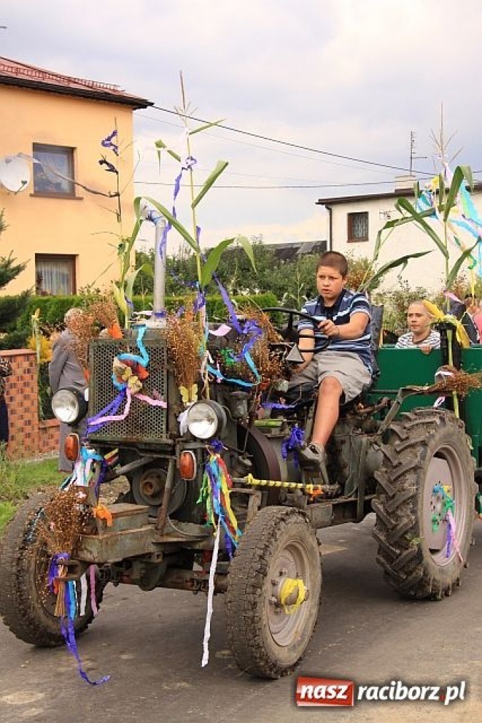 Zdjęcie w galerii na portalu naszraciborz.pl: Starostowie w dożynkowym cadillacu wiadomości z regionu