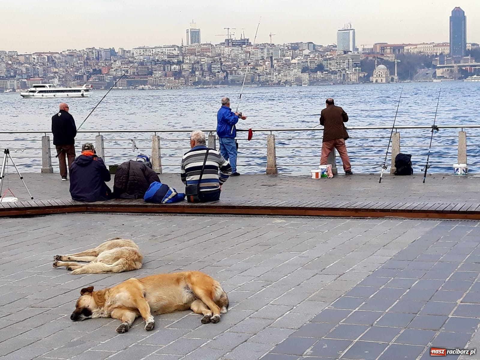 Zdjęcie w galerii na portalu naszraciborz.pl: Nauczycielki z Brzeźnicy odwiedziły szkołę w Istambule [FOTO] wiadomości z regionu