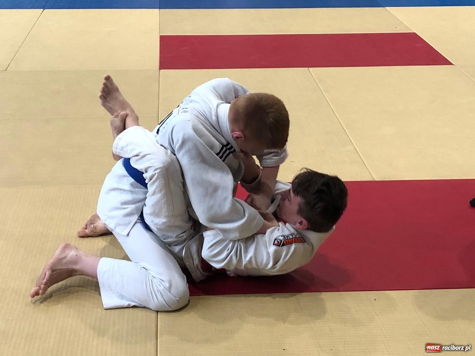 Zdjęcie w galerii na portalu naszraciborz.pl: Sukcesy Łamatorów w Katowicach [FOTO]  wiadomości z regionu