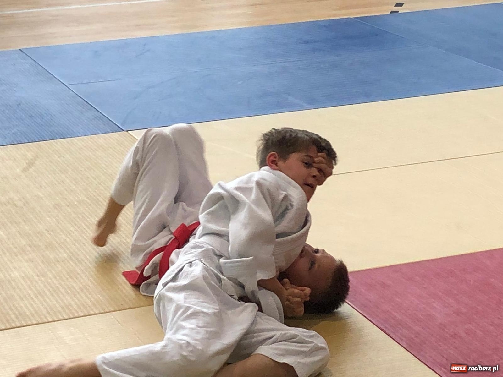 Zdjęcie w galerii na portalu naszraciborz.pl: Sukcesy Łamatorów w Katowicach [FOTO]  wiadomości z regionu