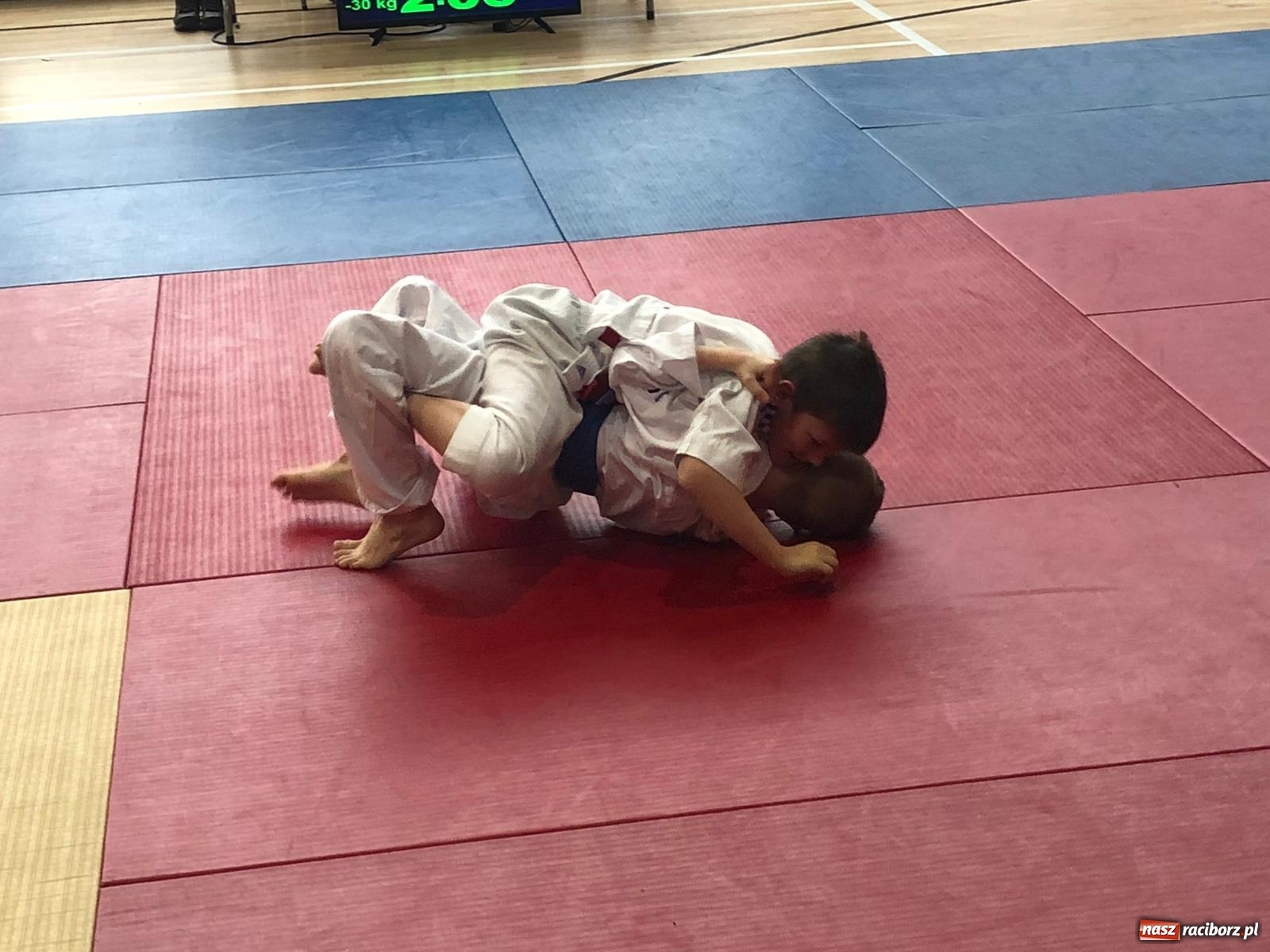 Zdjęcie w galerii na portalu naszraciborz.pl: Sukcesy Łamatorów w Katowicach [FOTO]  wiadomości z regionu