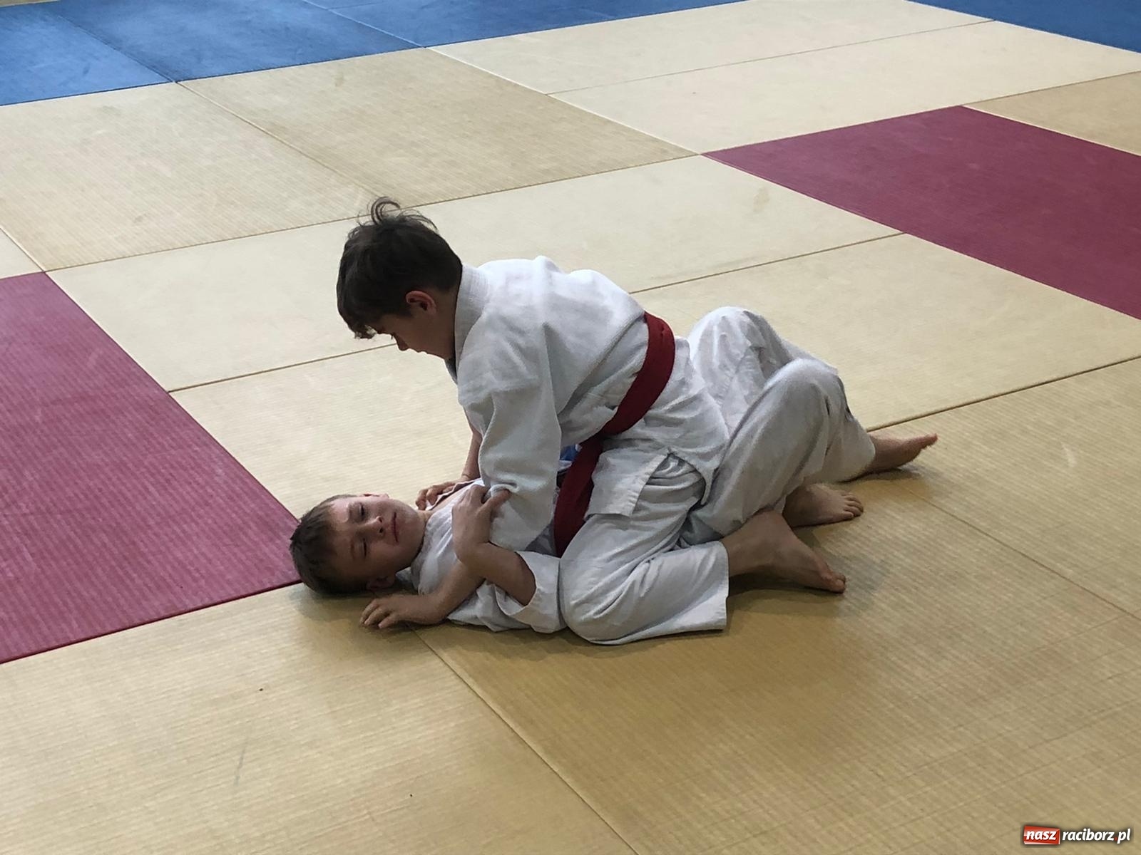 Zdjęcie w galerii na portalu naszraciborz.pl: Sukcesy Łamatorów w Katowicach [FOTO]  wiadomości z regionu