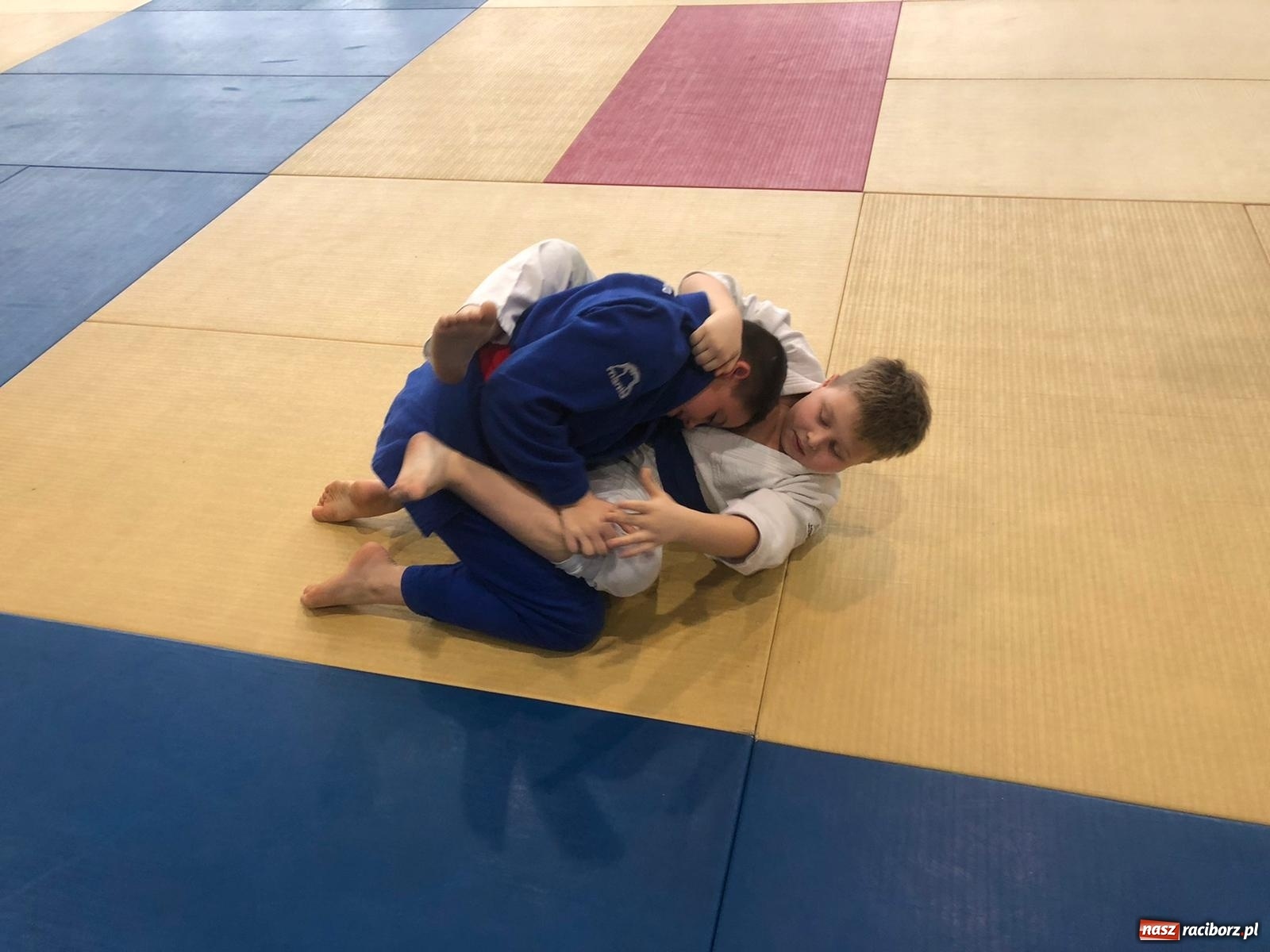 Zdjęcie w galerii na portalu naszraciborz.pl: Sukcesy Łamatorów w Katowicach [FOTO]  wiadomości z regionu