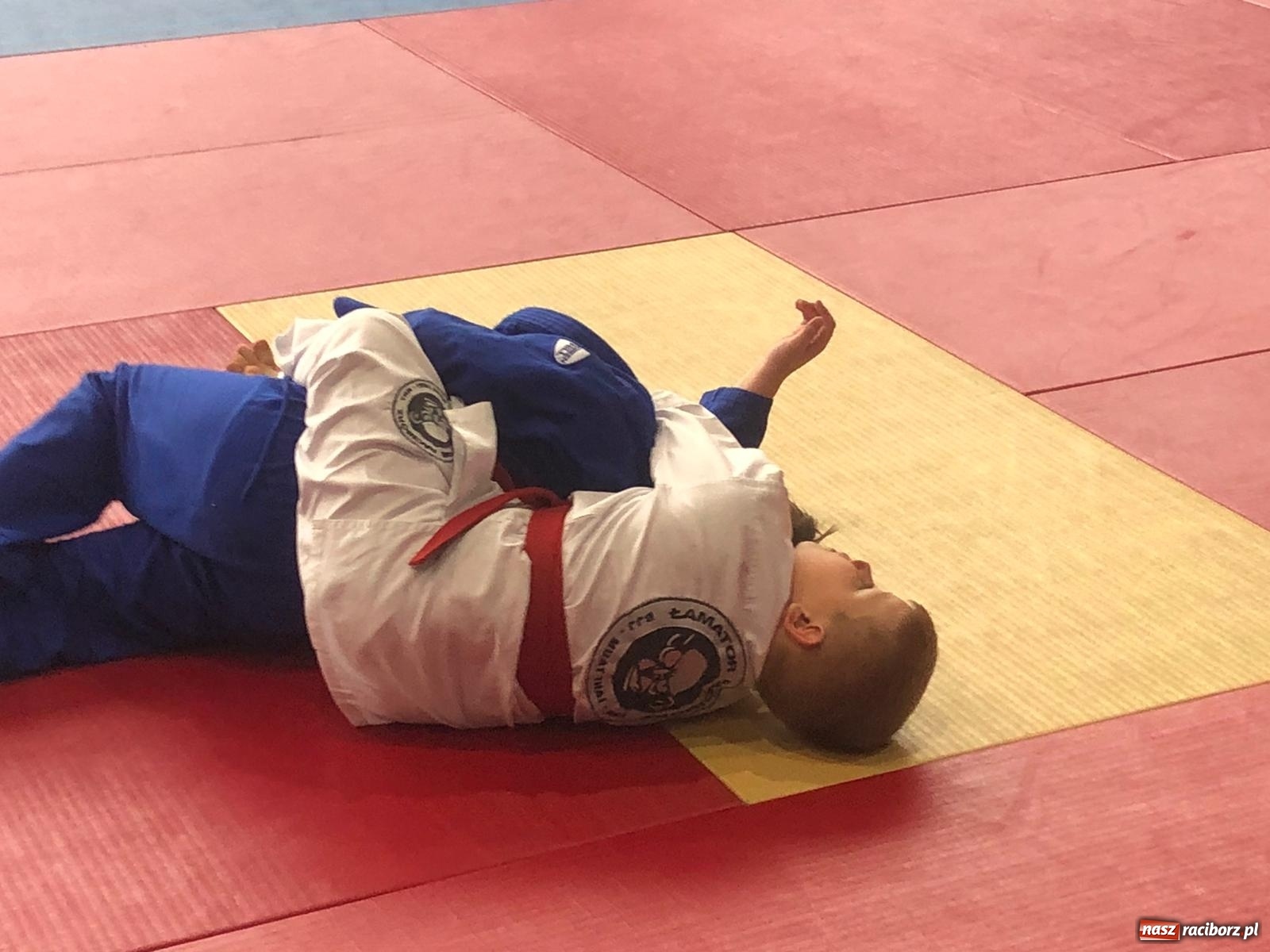 Zdjęcie w galerii na portalu naszraciborz.pl: Sukcesy Łamatorów w Katowicach [FOTO]  wiadomości z regionu