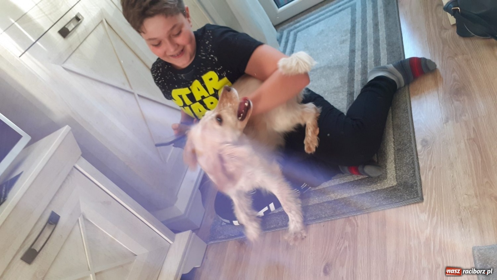 Zdjęcie w galerii na portalu naszraciborz.pl: Jesteśmy w tej Trójce ze Strzybnika absolutnie zakochani!  wiadomości z regionu