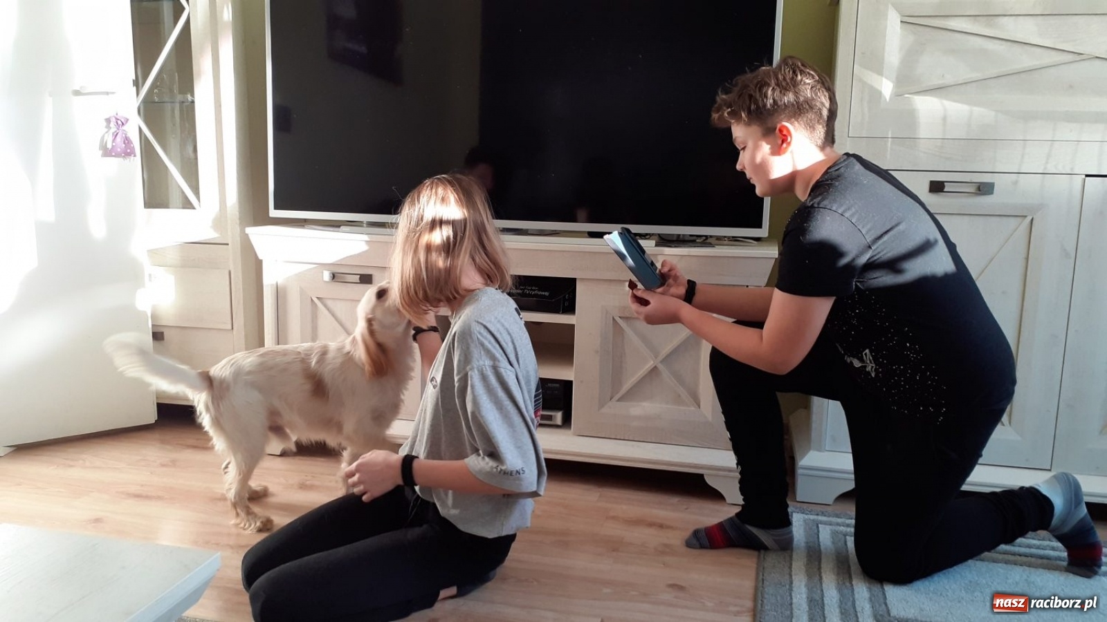 Zdjęcie w galerii na portalu naszraciborz.pl: Jesteśmy w tej Trójce ze Strzybnika absolutnie zakochani!  wiadomości z regionu