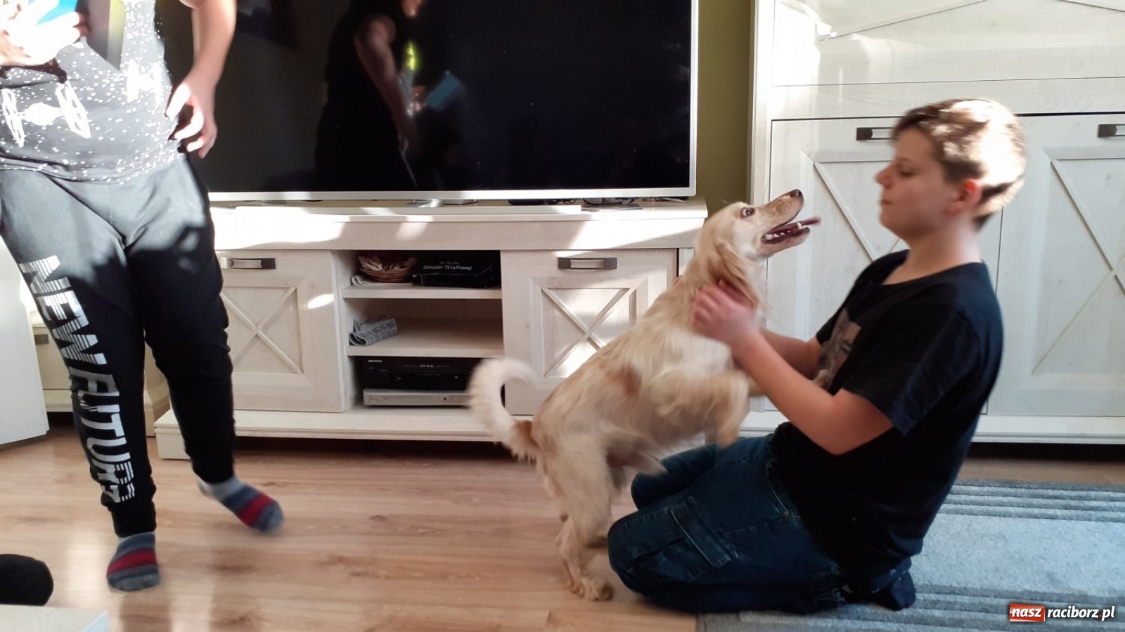 Zdjęcie w galerii na portalu naszraciborz.pl: Jesteśmy w tej Trójce ze Strzybnika absolutnie zakochani!  wiadomości z regionu