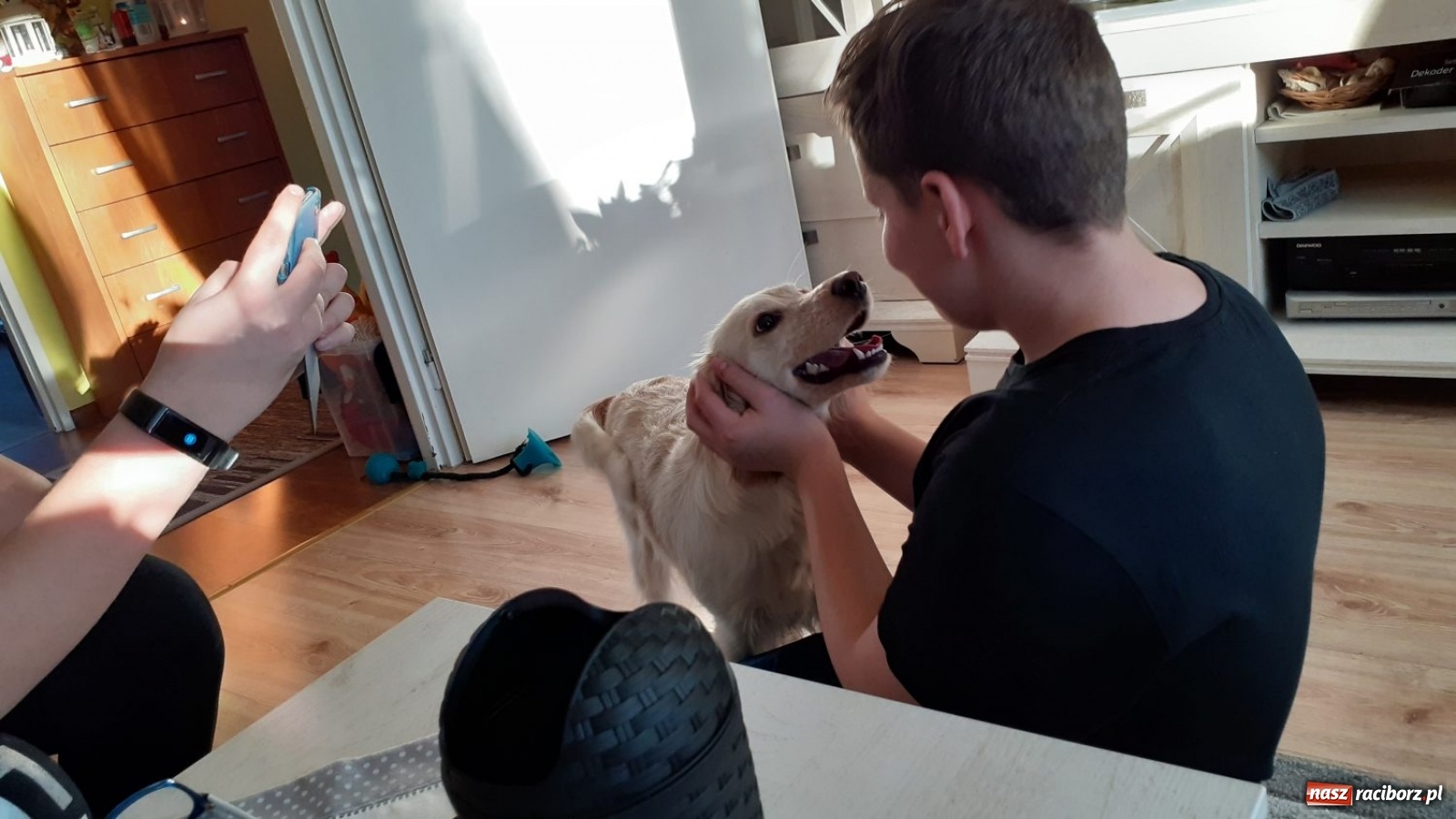 Zdjęcie w galerii na portalu naszraciborz.pl: Jesteśmy w tej Trójce ze Strzybnika absolutnie zakochani!  wiadomości z regionu