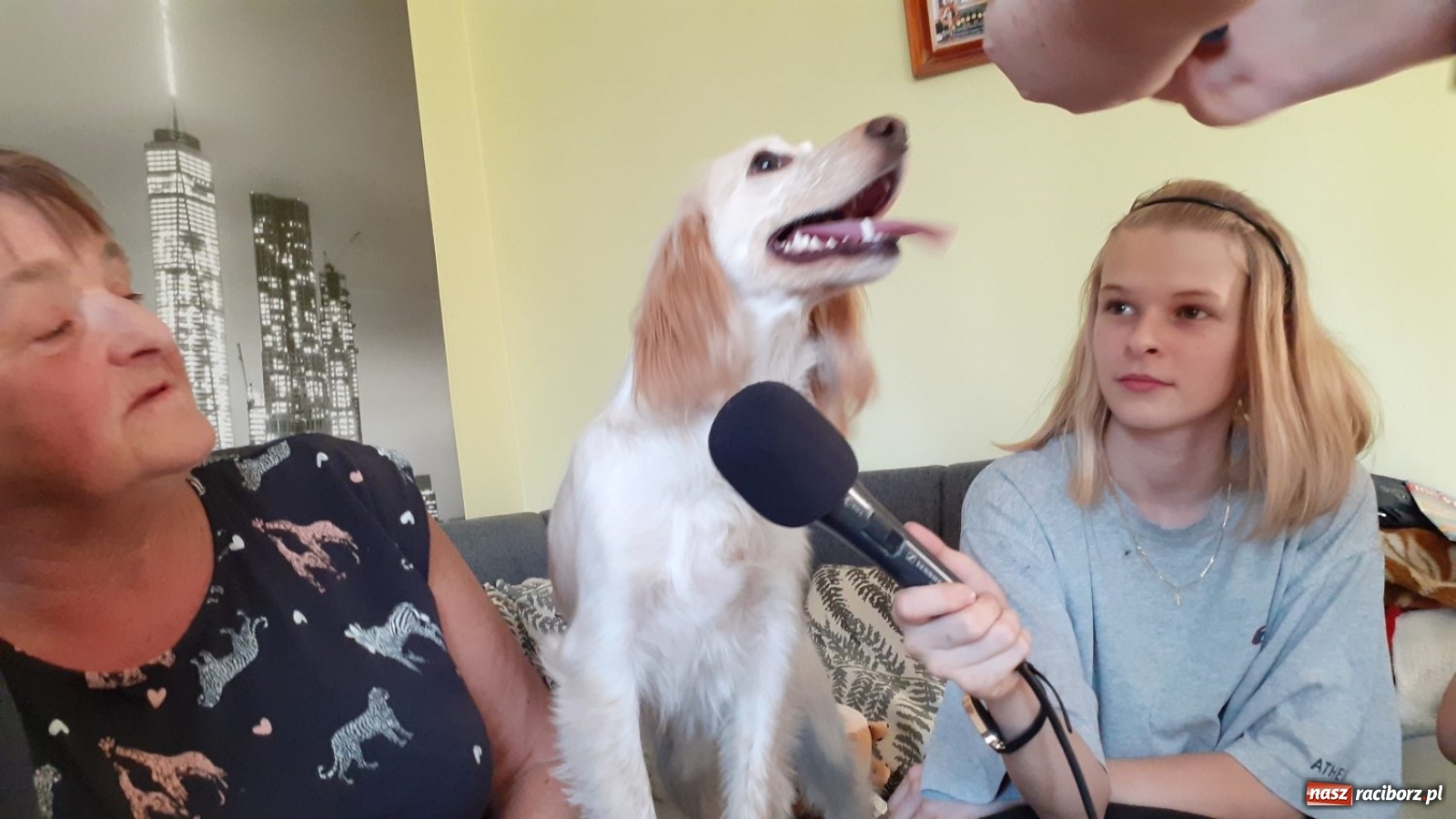 Zdjęcie w galerii na portalu naszraciborz.pl: Jesteśmy w tej Trójce ze Strzybnika absolutnie zakochani!  wiadomości z regionu