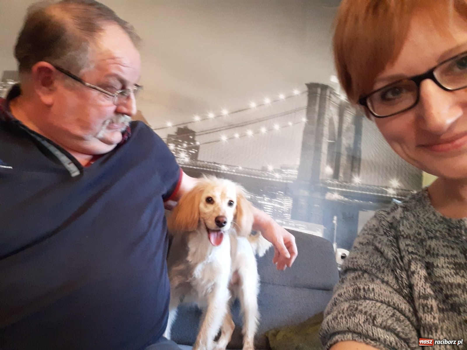 Zdjęcie w galerii na portalu naszraciborz.pl: Jesteśmy w tej Trójce ze Strzybnika absolutnie zakochani!  wiadomości z regionu