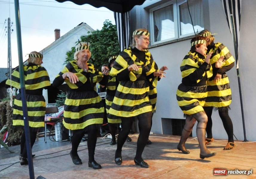 Zdjęcie w galerii na portalu naszraciborz.pl: Ksiądz hasał na scenie z pszczółkami wiadomości z regionu