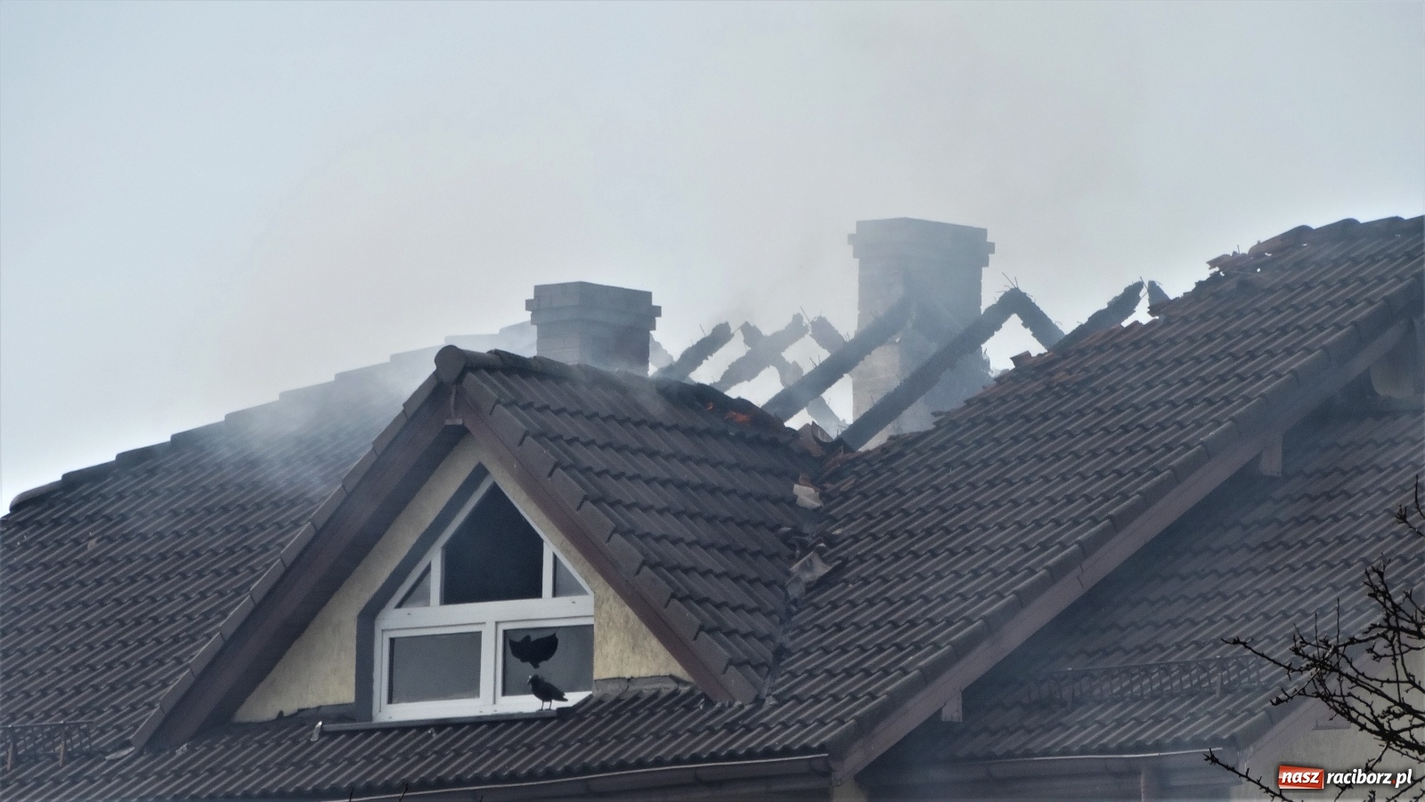 Zdjęcie w galerii na portalu naszraciborz.pl: Pożar poddasza domu w Nędzy [FOTO] wiadomości z regionu