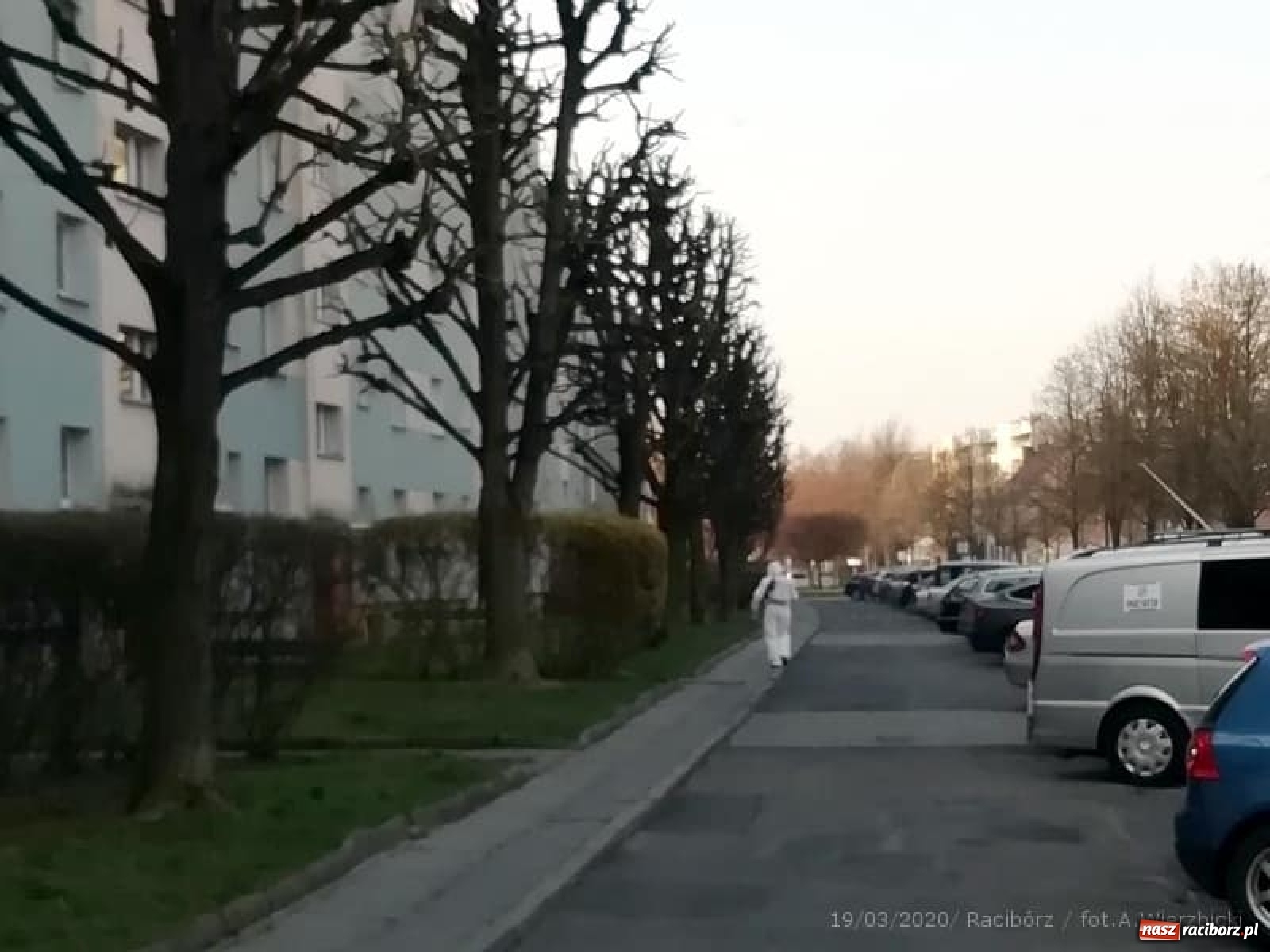 Zdjęcie w galerii na portalu naszraciborz.pl: Nowoczesna dezynfekuje swoje osiedla  wiadomości z regionu