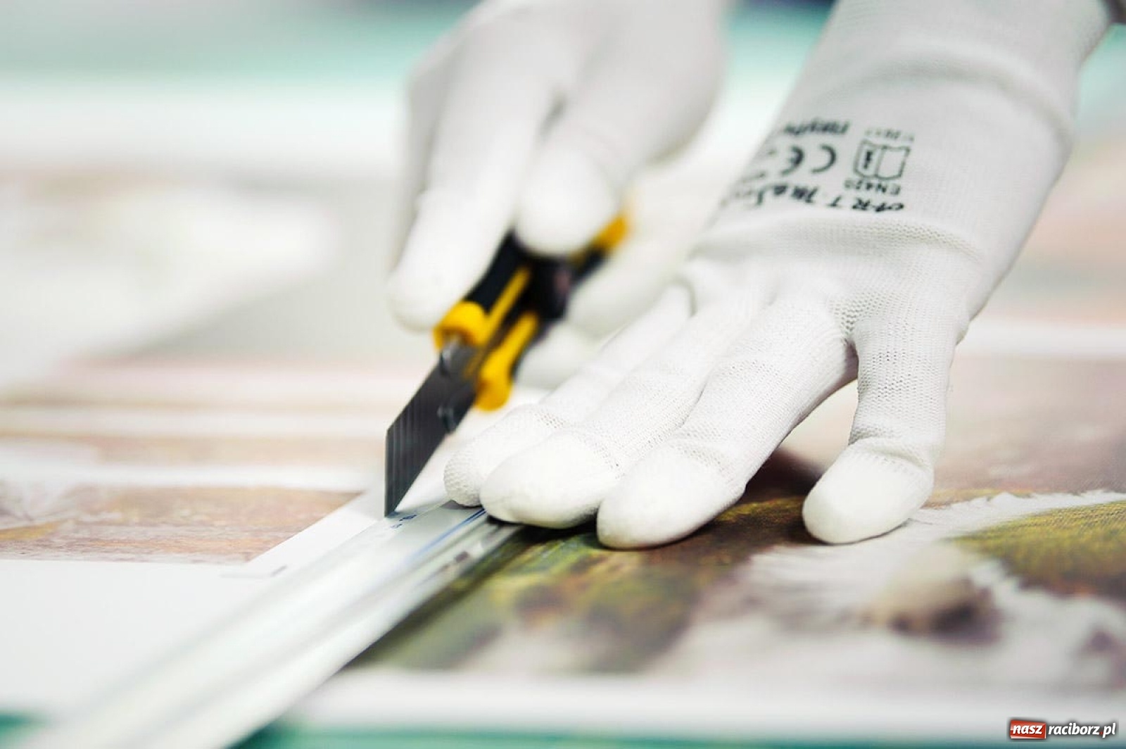 Zdjęcie w galerii na portalu naszraciborz.pl: O fotoobrazach wiedzą wszystko wiadomości z regionu