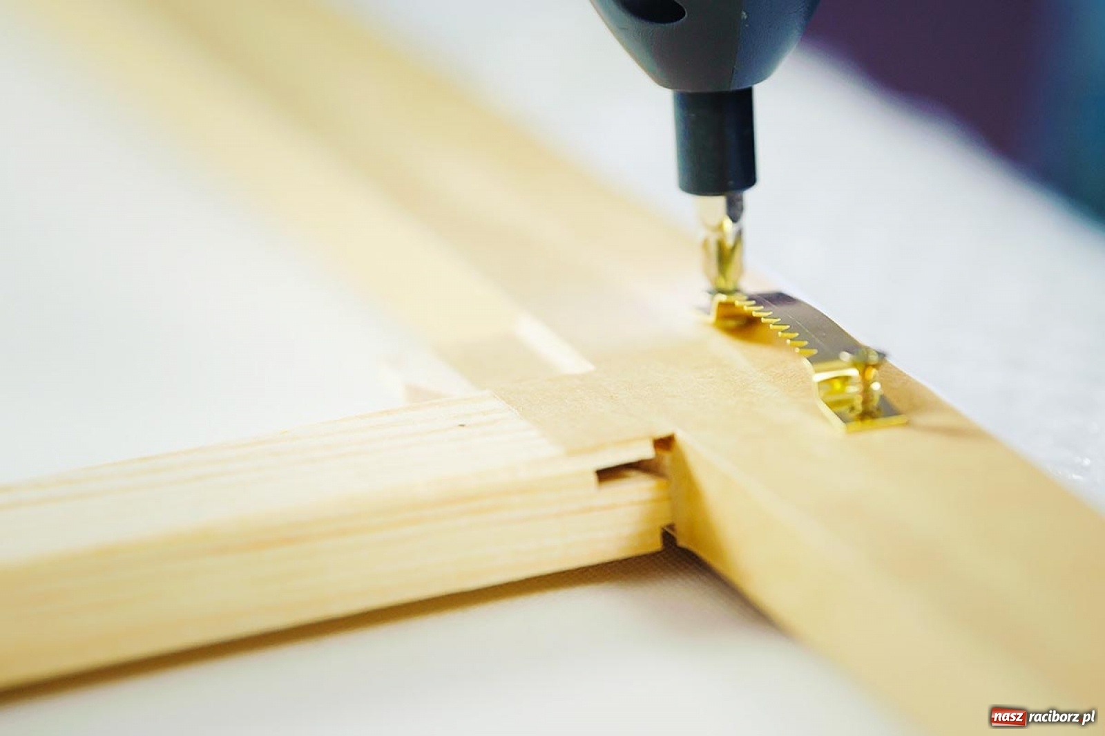 Zdjęcie w galerii na portalu naszraciborz.pl: O fotoobrazach wiedzą wszystko wiadomości z regionu