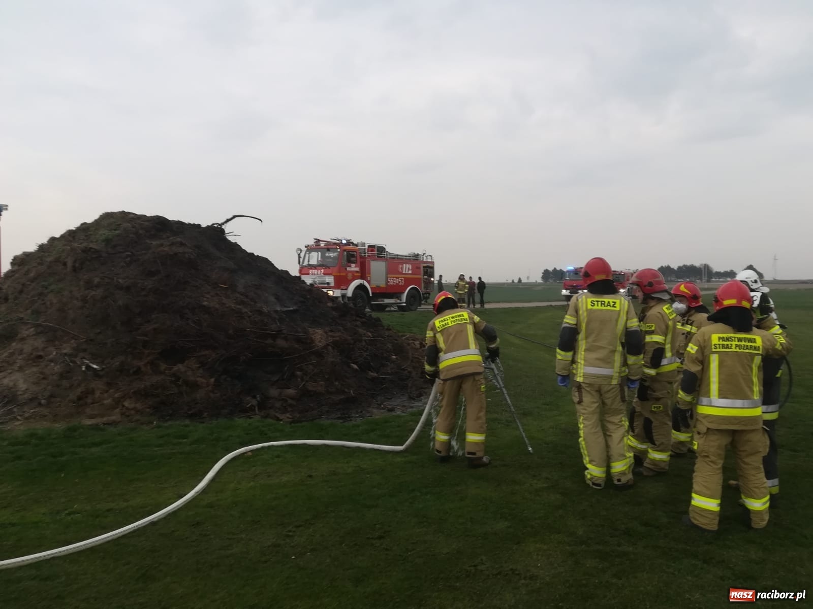 Zdjęcie w galerii na portalu naszraciborz.pl: Raport 998. Poranny pożar trawy w Pietraszynie wiadomości z regionu