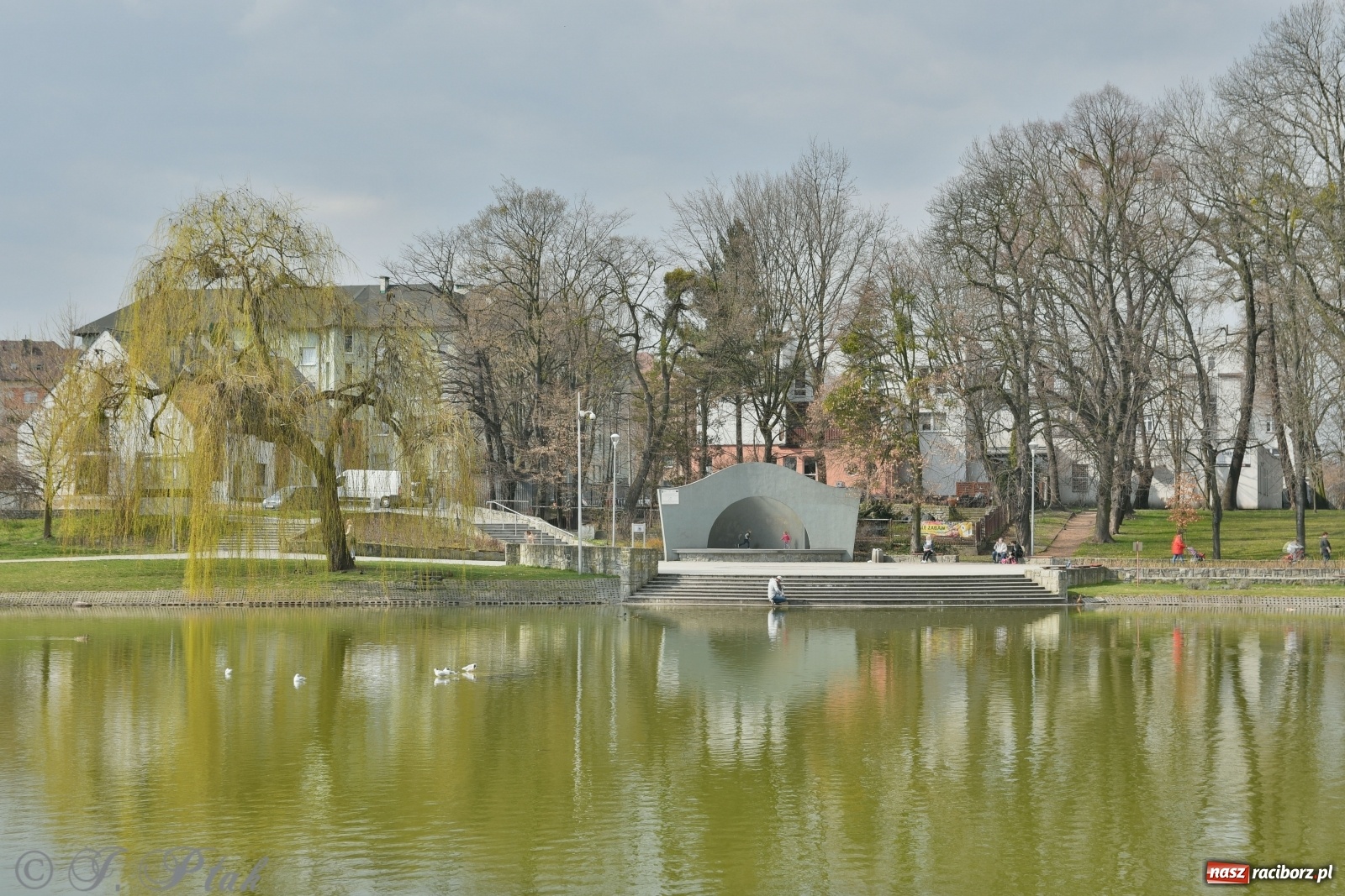 Zdjęcie w galerii na portalu naszraciborz.pl: Dziś pierwszy dzień wiosny! Łężczok budzi się do życia wiadomości z regionu