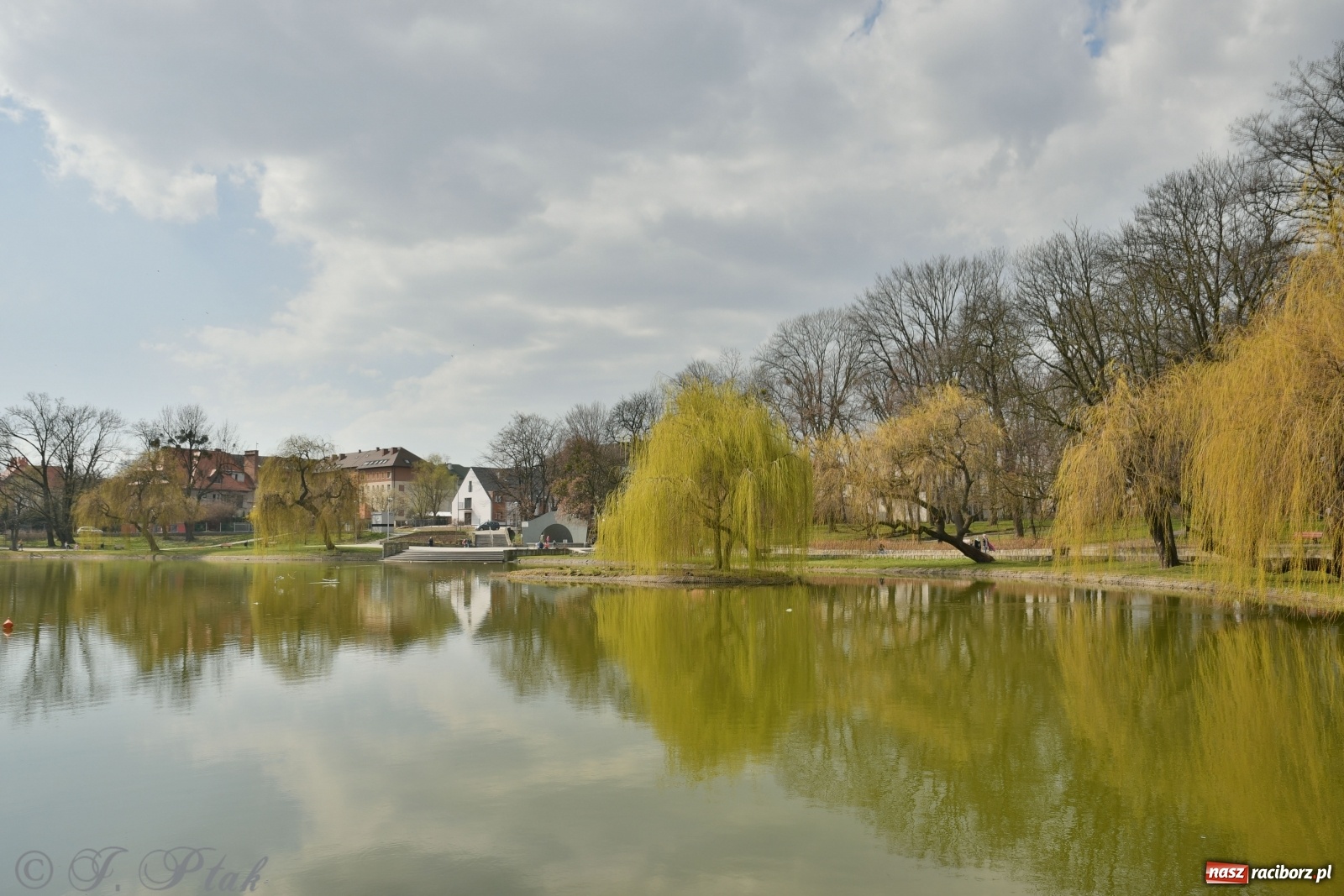 Zdjęcie w galerii na portalu naszraciborz.pl: Dziś pierwszy dzień wiosny! Łężczok budzi się do życia wiadomości z regionu