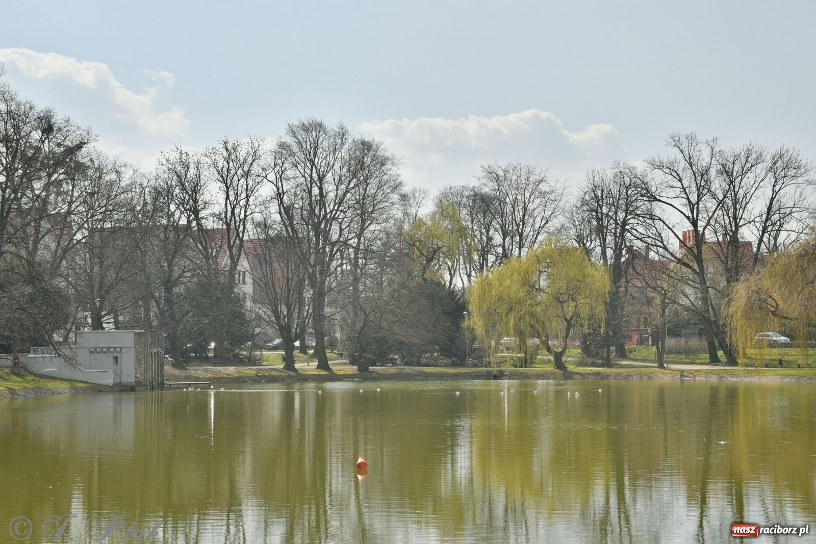 Zdjęcie w galerii na portalu naszraciborz.pl: Dziś pierwszy dzień wiosny! Łężczok budzi się do życia wiadomości z regionu
