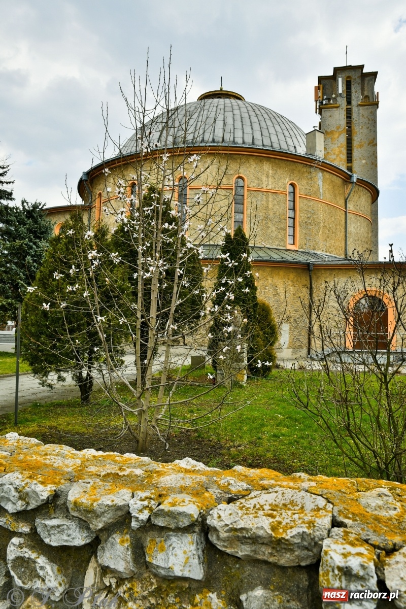 Zdjęcie w galerii na portalu naszraciborz.pl: Pierwszy dzień wiosny. #ZostańWDomuSRC  wiadomości z regionu