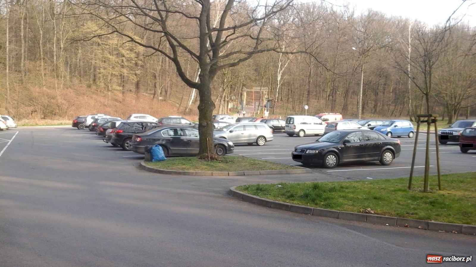 Zdjęcie w galerii na portalu naszraciborz.pl: W Arboretum Bramy Morawskiej tłumy. Lasy otwarte w czasie epidemii  wiadomości z regionu