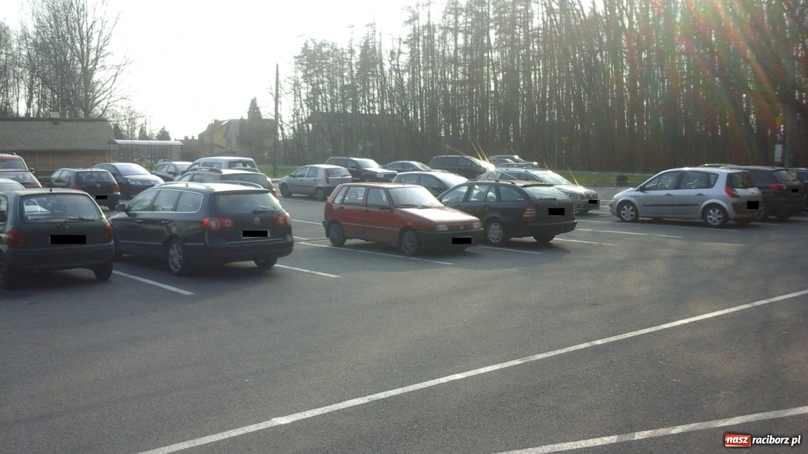 Zdjęcie w galerii na portalu naszraciborz.pl: W Arboretum Bramy Morawskiej tłumy. Lasy otwarte w czasie epidemii  wiadomości z regionu