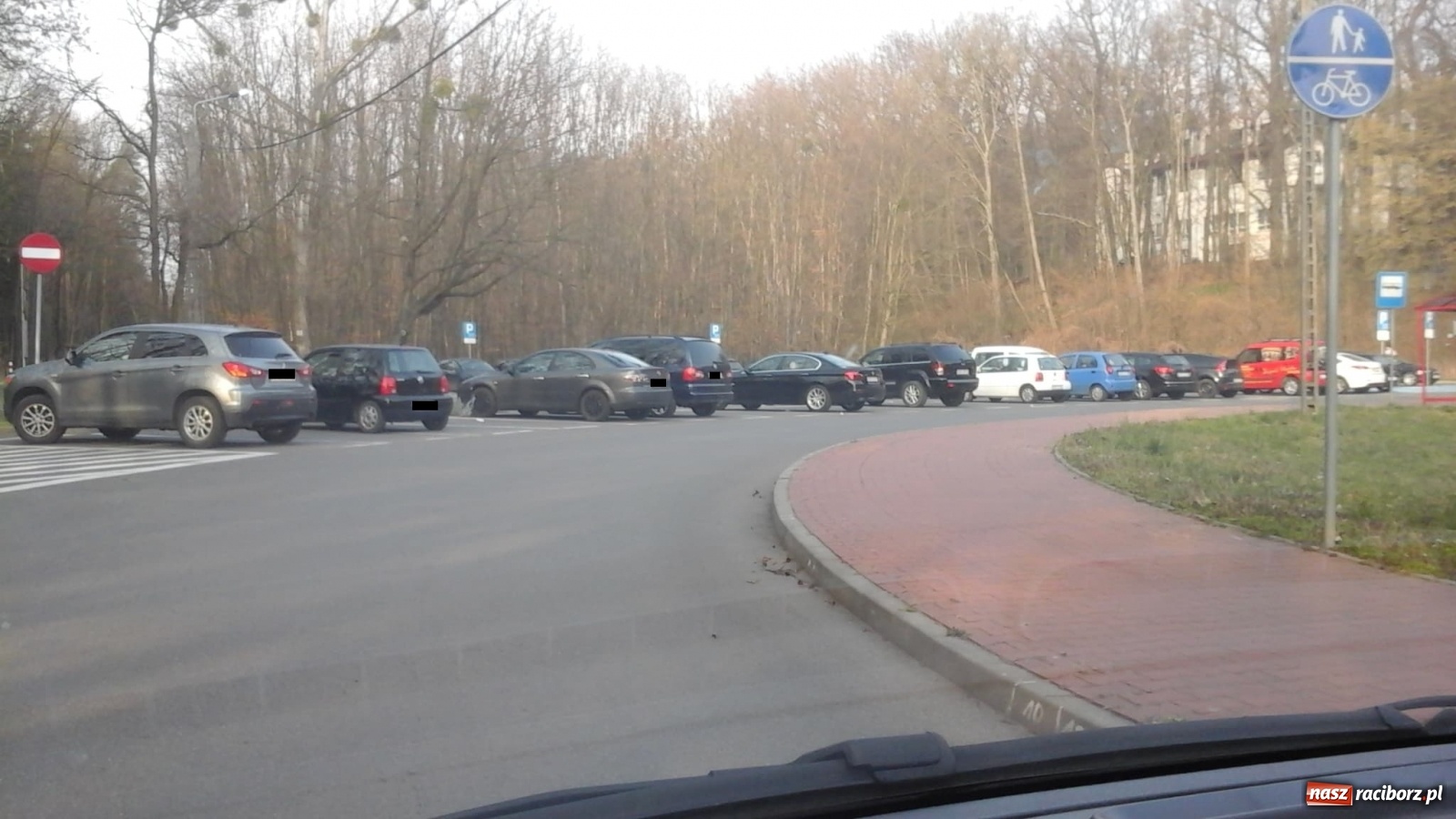 Zdjęcie w galerii na portalu naszraciborz.pl: W Arboretum Bramy Morawskiej tłumy. Lasy otwarte w czasie epidemii  wiadomości z regionu