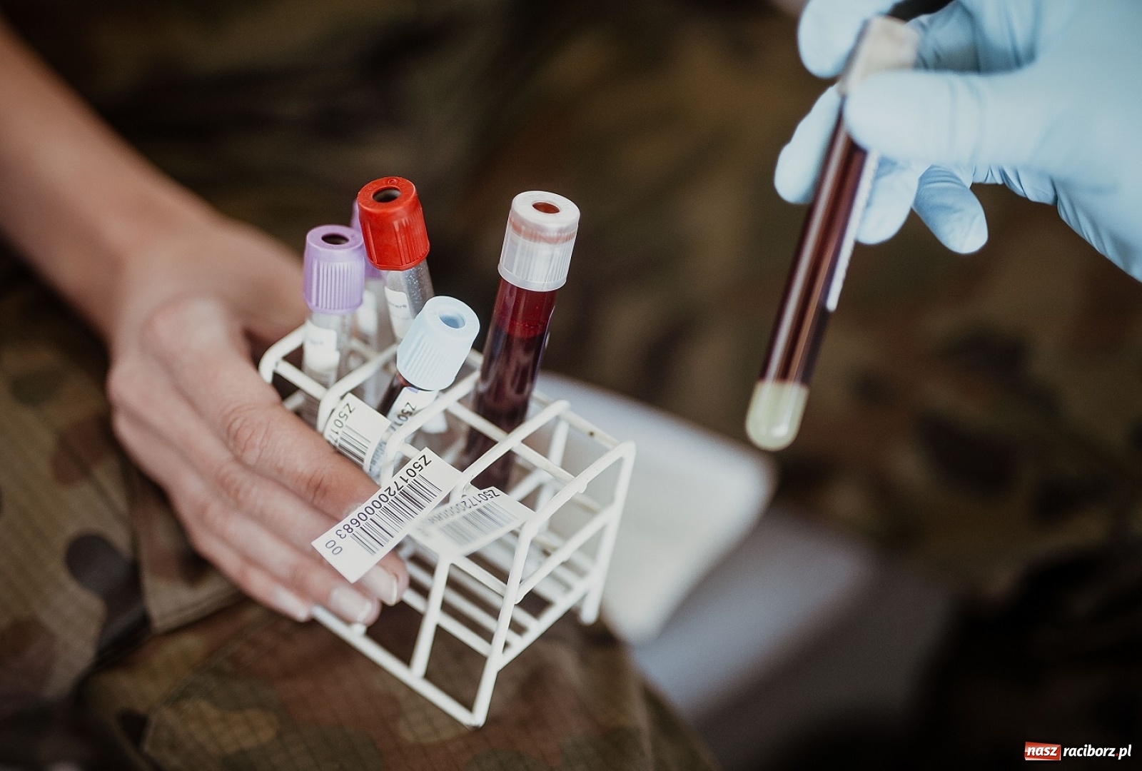 Zdjęcie w galerii na portalu naszraciborz.pl: Terytorialsi reagują na apele centrów krwiodawstwa wiadomości z regionu