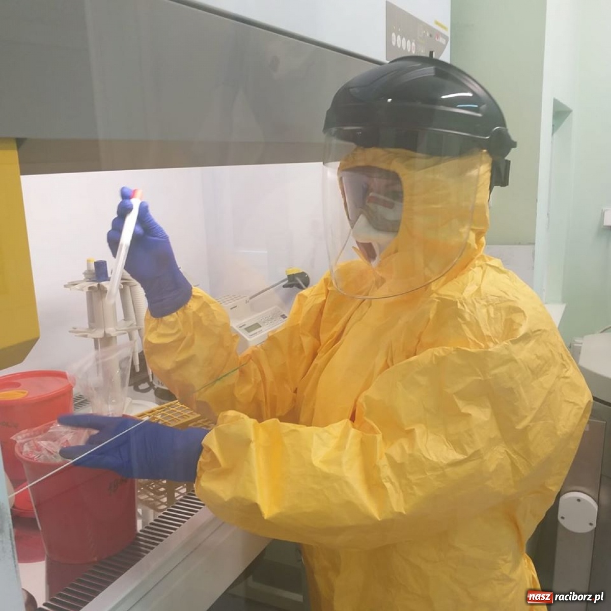 Zdjęcie w galerii na portalu naszraciborz.pl: Tu wykonywane są testy na obecność koronawirusa [FOTO] wiadomości z regionu