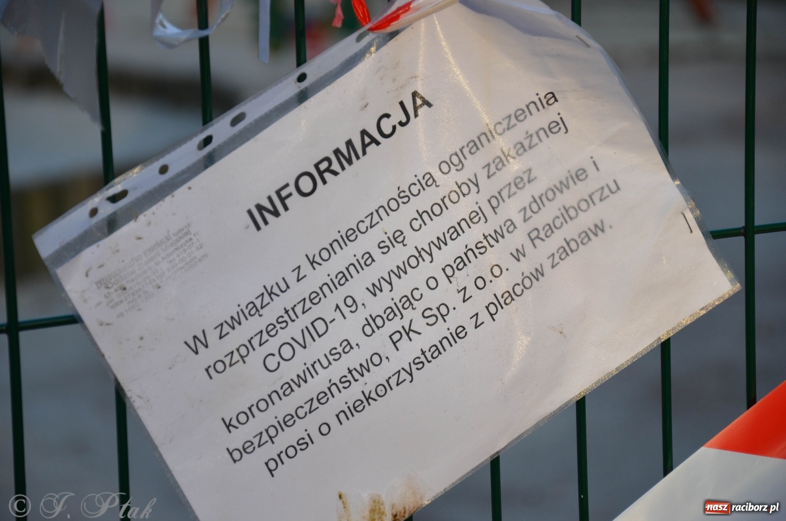 Zdjęcie w galerii na portalu naszraciborz.pl: Racibórz - miasto w bezruchu [FOTO]  wiadomości z regionu