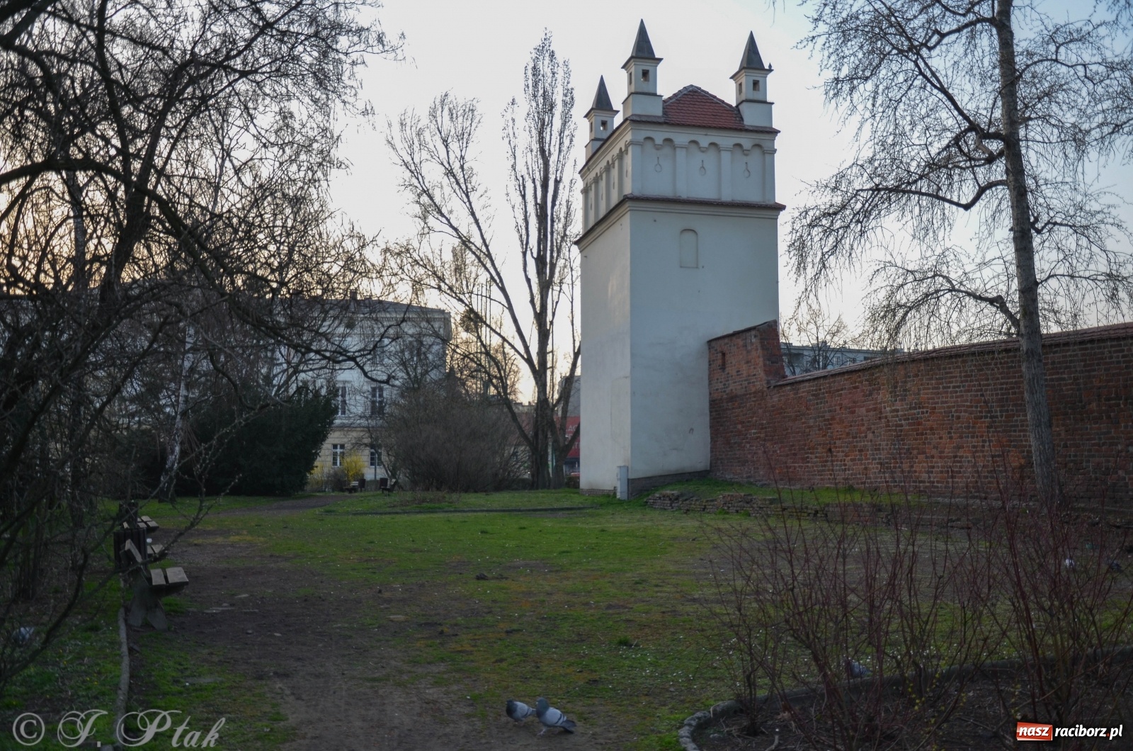 Zdjęcie w galerii na portalu naszraciborz.pl: Racibórz - miasto w bezruchu [FOTO]  wiadomości z regionu