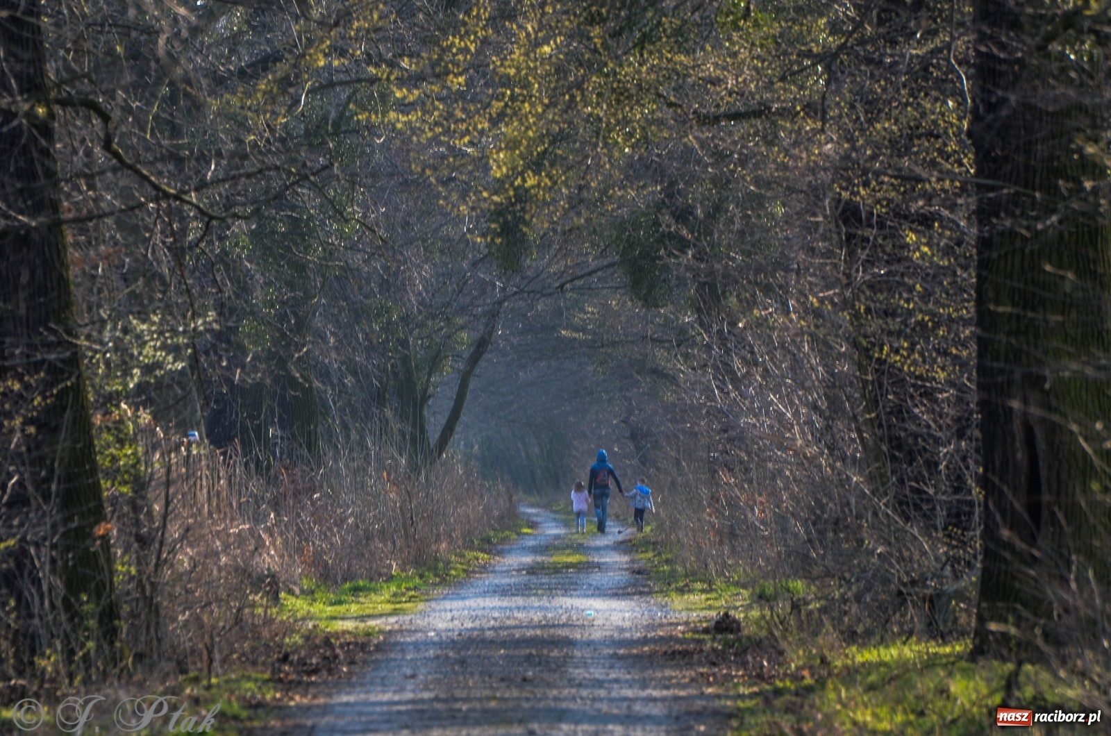 Zdjęcie w galerii na portalu naszraciborz.pl: Na Łężczoku coraz gwarniej. Przyroda budzi się do życia [FOTO] wiadomości z regionu