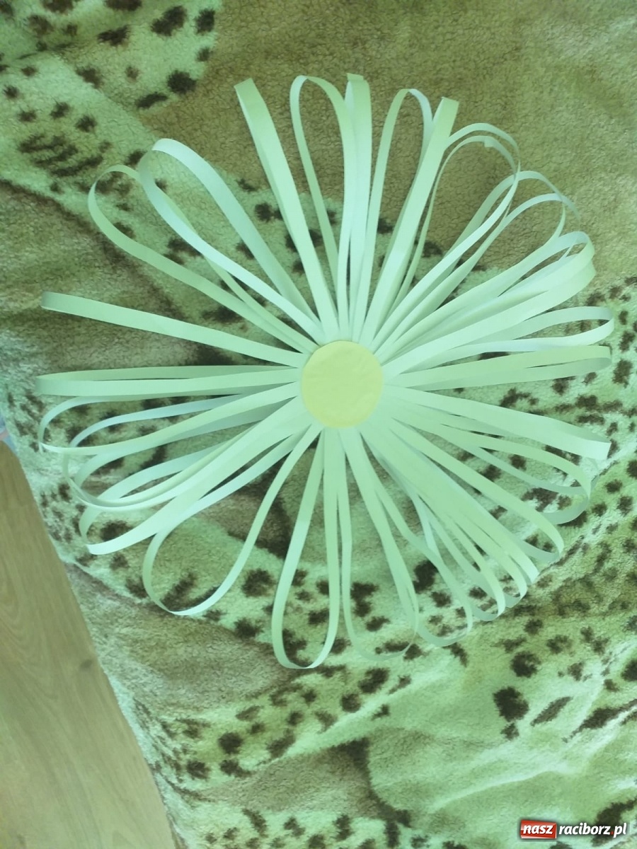 Zdjęcie w galerii na portalu naszraciborz.pl: Uczniowie ZSS radzą sobie z nauczaniem zdalnym wiadomości z regionu