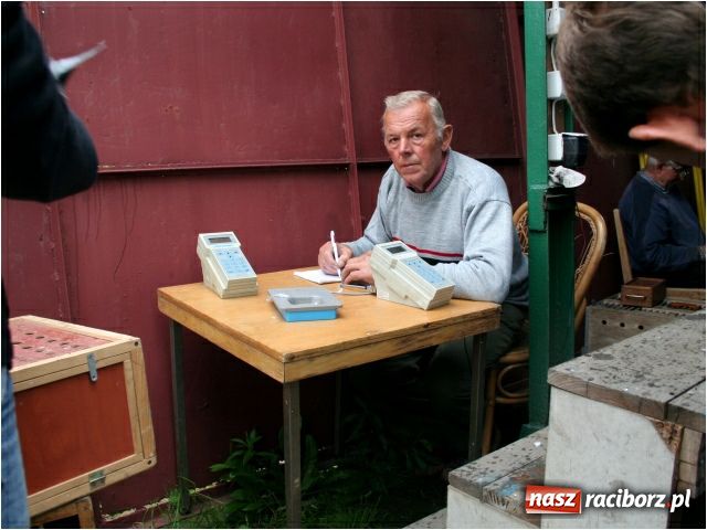 Zdjęcie w galerii na portalu naszraciborz.pl: Gołębie loty na urodziny Solidarności wiadomości z regionu