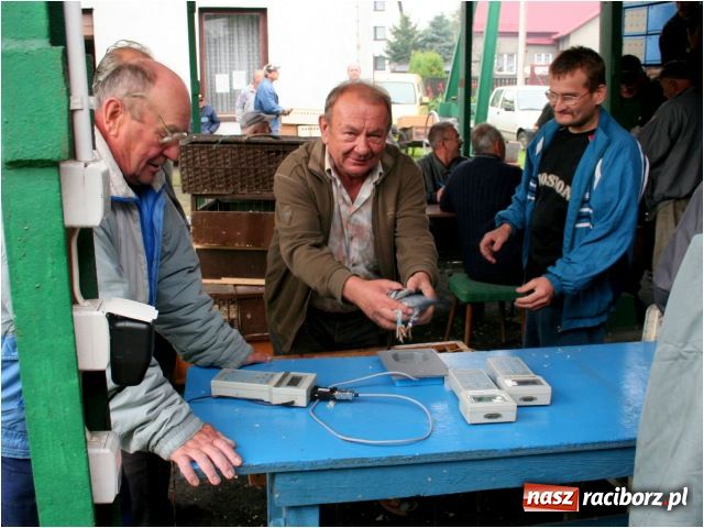Zdjęcie w galerii na portalu naszraciborz.pl: Gołębie loty na urodziny Solidarności wiadomości z regionu