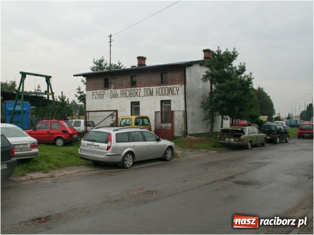 Zdjęcie w galerii na portalu naszraciborz.pl: Gołębie loty na urodziny Solidarności wiadomości z regionu