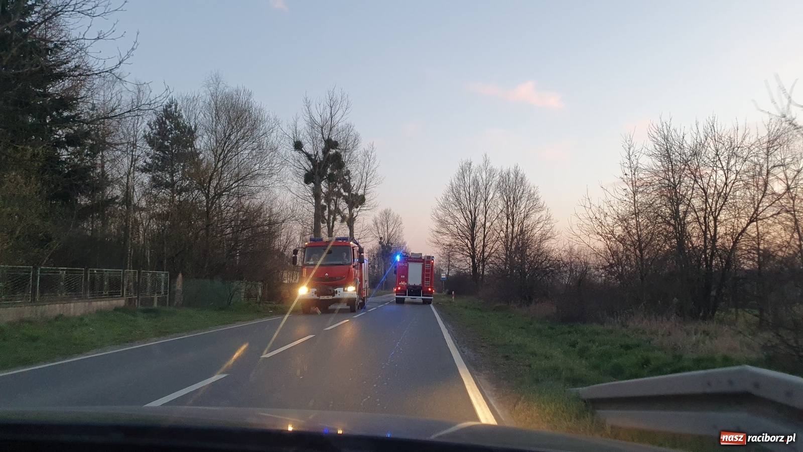 Zdjęcie w galerii na portalu naszraciborz.pl: Raport 998. Pożar trawy na Gliwickiej. Zagrożony był las! wiadomości z regionu